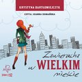audiobooki: Zawierucha w wielkim mieście - audiobook