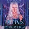 Young Adult: Cmentarz zagubionych dusz - audiobook