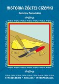 Naukowe i akademickie: Historia żółtej ciżemki Antoniny Domańskiej. Streszczenie, analiza, interpretacja - ebook