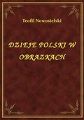 Dzieje Polski W Obrazkach - ebook