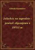 Szlachcic na zagrodzie : powieść obyczajowa z XVIII w. - ebook