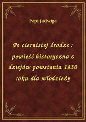 : Po ciernistej drodze : powieść historyczna z dziejów powstania 1830 roku dla młodzieży - ebook