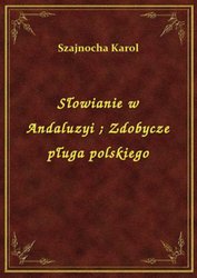 : Słowianie w Andaluzyi. Zdobycze pługa polskiego - ebook